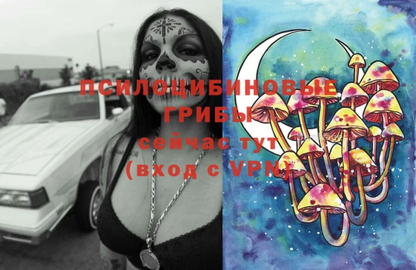 трава Алексин