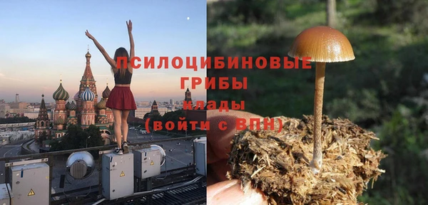 хмурый Алексеевка