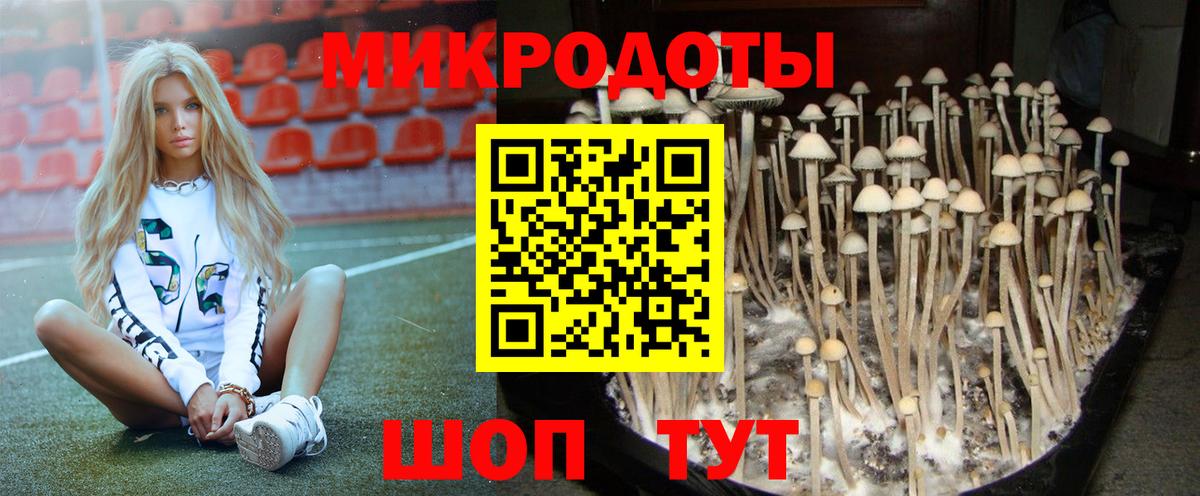 Псилоцибиновые грибы GOLDEN TEACHER Ставрополь