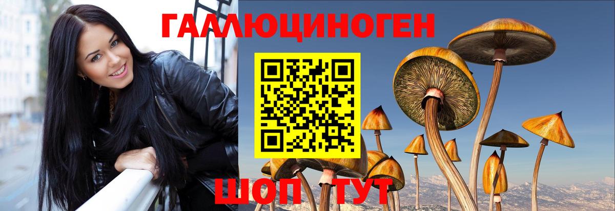 Ставрополь  Псилоцибиновые грибы мицелий  Вход с VPN  Галлюциногенные грибы MAGIC MUSHROOMS 