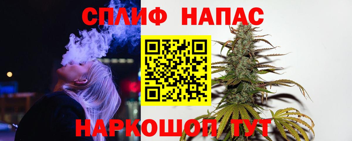 Каннабис OG Kush Ставрополь