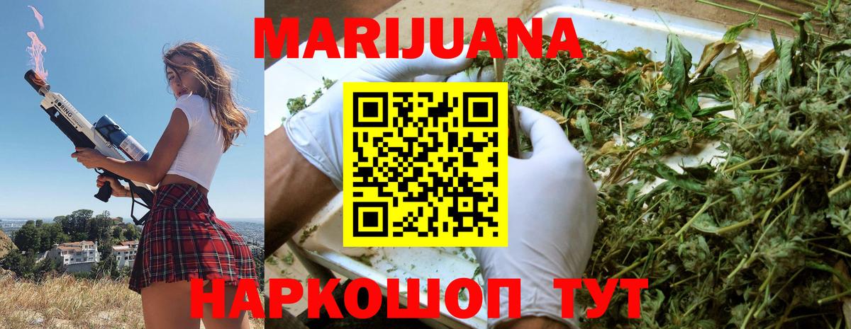 Марихуана план  Конопля ГИДРОПОН  Вход с VPN  Канабис ГИДРОПОН  Ставрополь 
